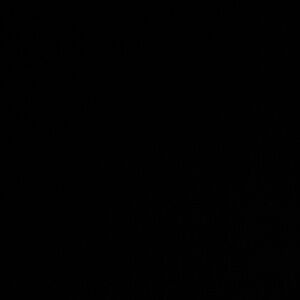 Meet your Posher, Life with